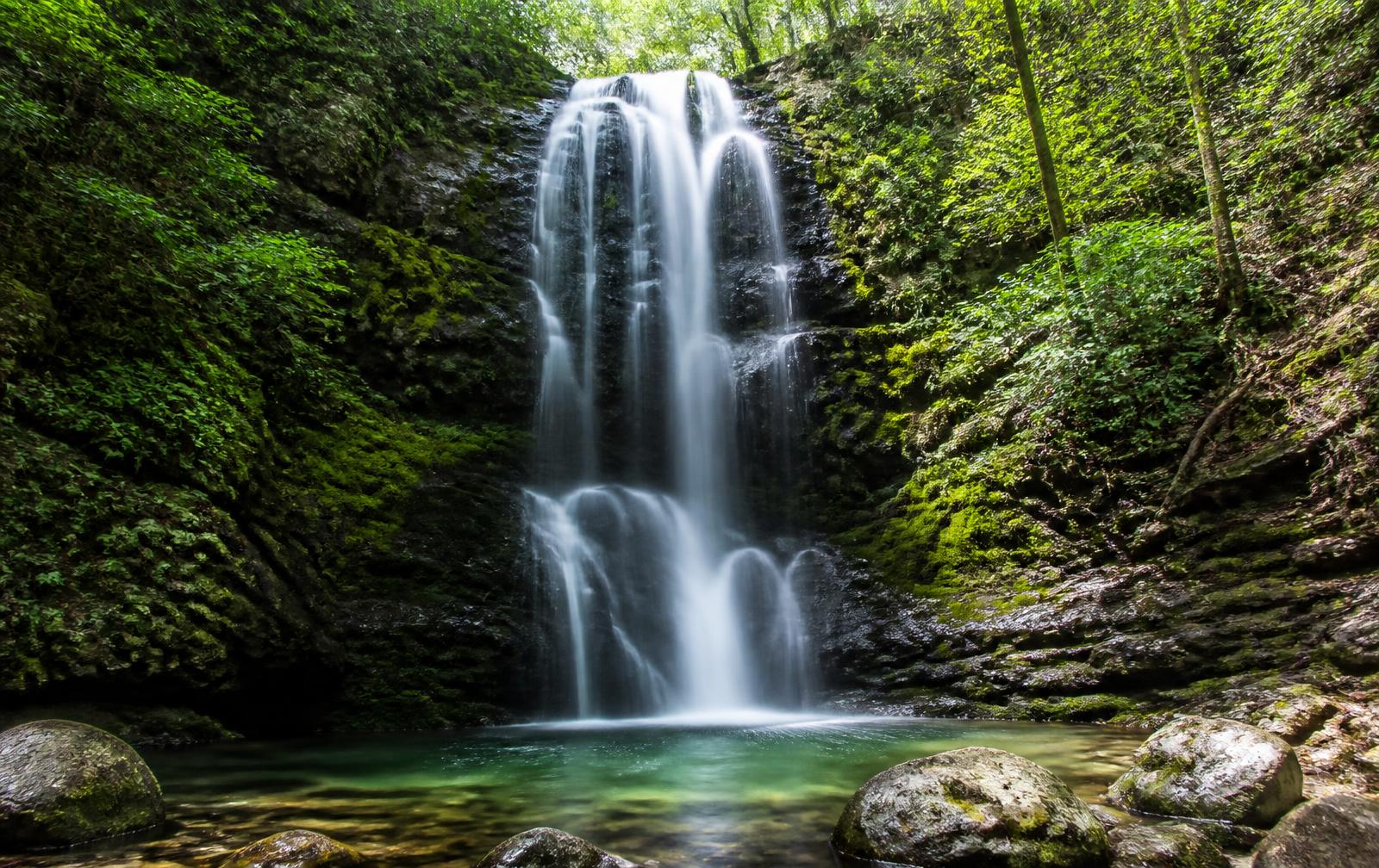 Waterfall falling into a clear pool in an Appalachian forest